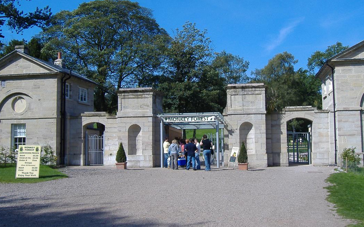 Trentham Monkey Forest